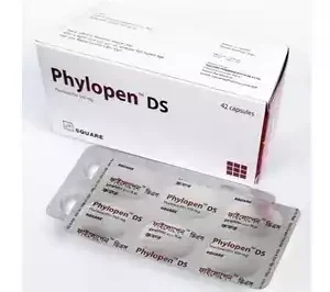 Phylopen DS Capsule 500mg
